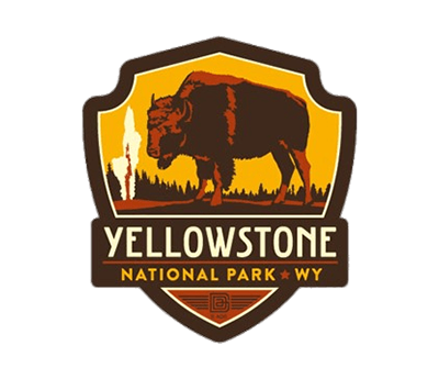 YNP